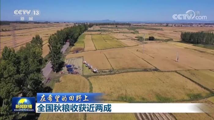 【在希望的田野上】全國(guó)秋糧收獲近兩成