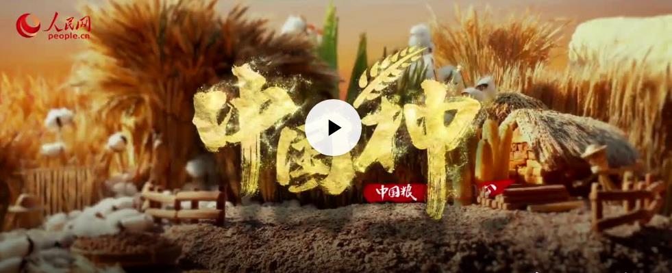 中國種·中國心 | 攥緊中國種子 端穩(wěn)中國飯碗