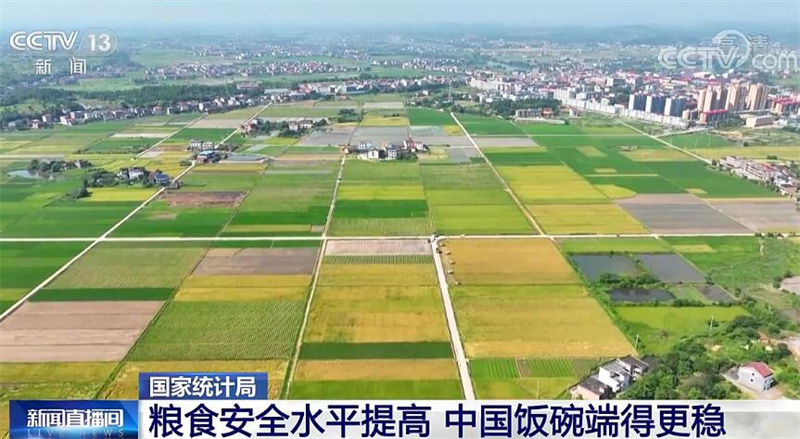 國家統(tǒng)計(jì)局：糧食安全水平提高 中國飯碗端得更穩(wěn)