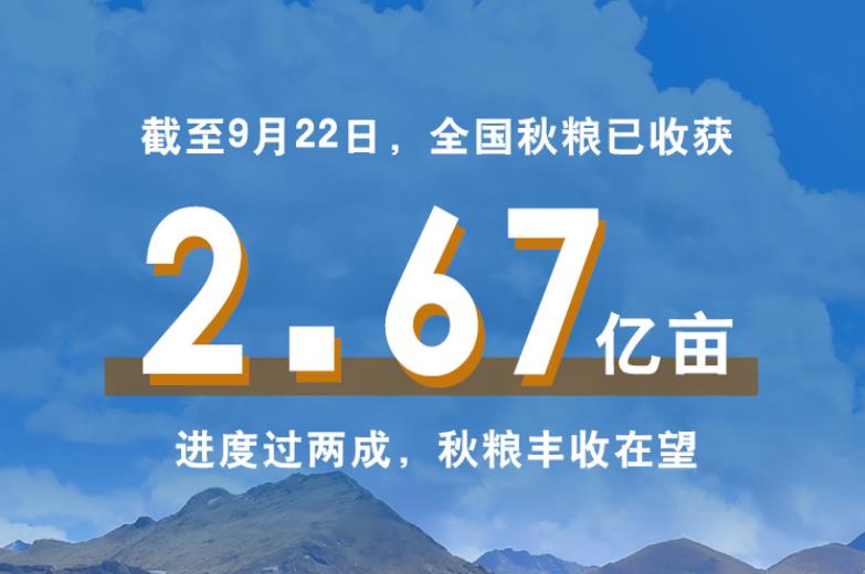 共慶好收成！一組數(shù)字描繪豐收里的中國