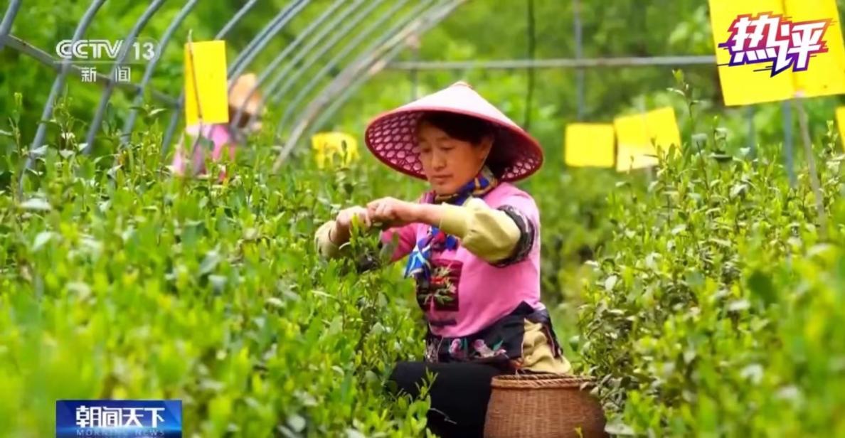 熱評丨推進農(nóng)業(yè)農(nóng)村現(xiàn)代化 讓老鄉(xiāng)日子更紅火