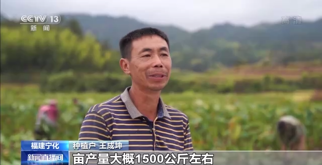直播間開進果園！全國秋糧收獲近尾聲 各地多舉措助農(nóng)增收