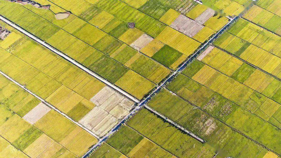 過渡期內(nèi)每個脫貧縣每年安排新增建設(shè)用地計劃指標600畝