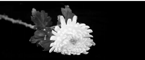 永遠(yuǎn)銘刻在心 永遠(yuǎn)激勵前進(jìn)——舉國哀悼江澤民同志紀(jì)實