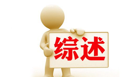 以數(shù)字變革推進教育強國建設(shè)——我國教育數(shù)字化工作取得積極成效綜述