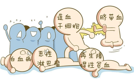 美國(guó)研究發(fā)現(xiàn)造血干細(xì)胞有特殊“垃圾處理”機(jī)制
