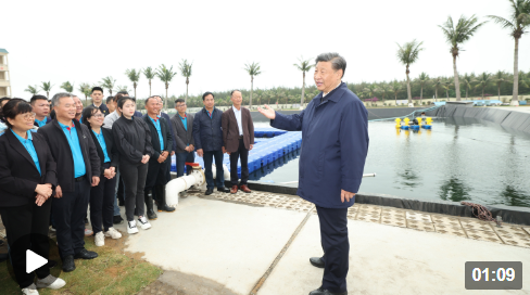 習(xí)近平赴湛江考察，承載哪些戰(zhàn)略考量？
