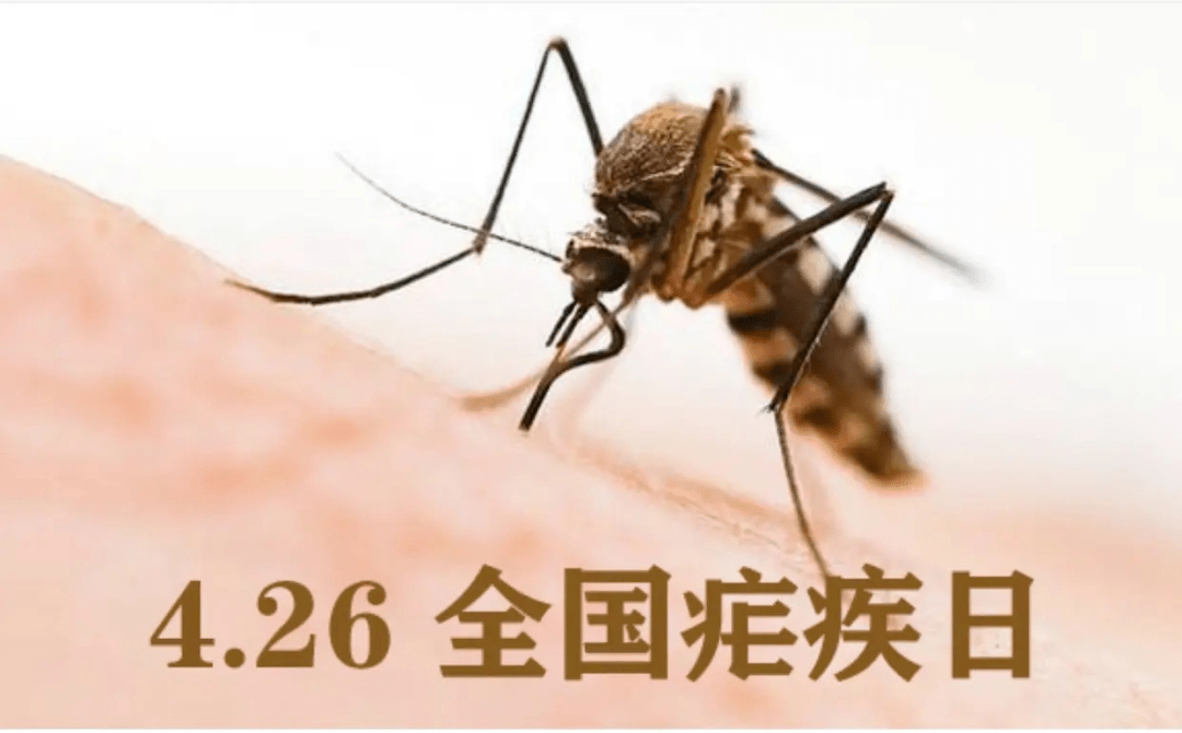 綜述：中國(guó)抗瘧力量和經(jīng)驗(yàn)惠及非洲