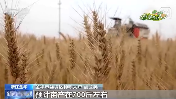 全國夏收拉開序幕 夏收主要收什么？