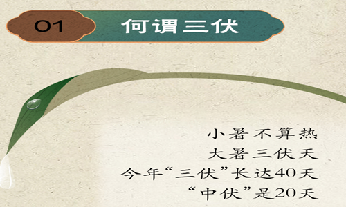 漫話(huà)三伏丨三伏天為啥這么熱？
