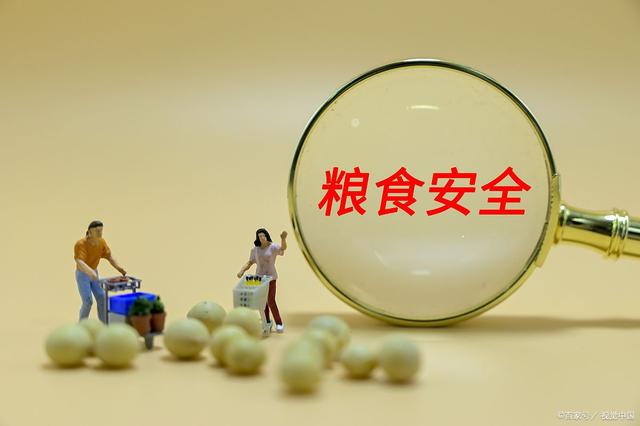 糧食安全防線如何筑牢？8個(gè)方面保障安全