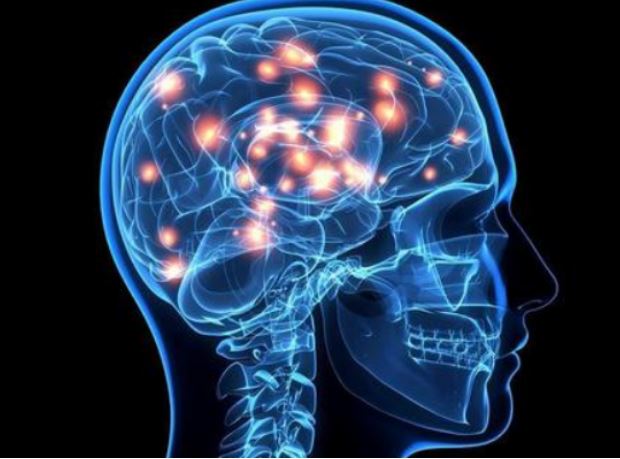 數(shù)千年間，腦容量下降了約10% 人類的大腦是怎么“丟”的？