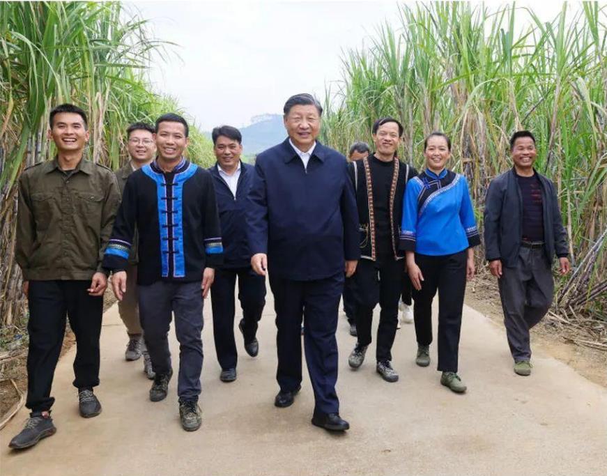 時(shí)政微觀察丨推進(jìn)鄉(xiāng)村全面振興是“三農(nóng)”工作總抓手