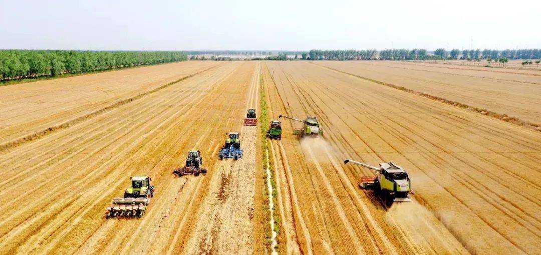 提升耕地質量筑牢糧食安全根基 我國高標準農田建設扎實推進
