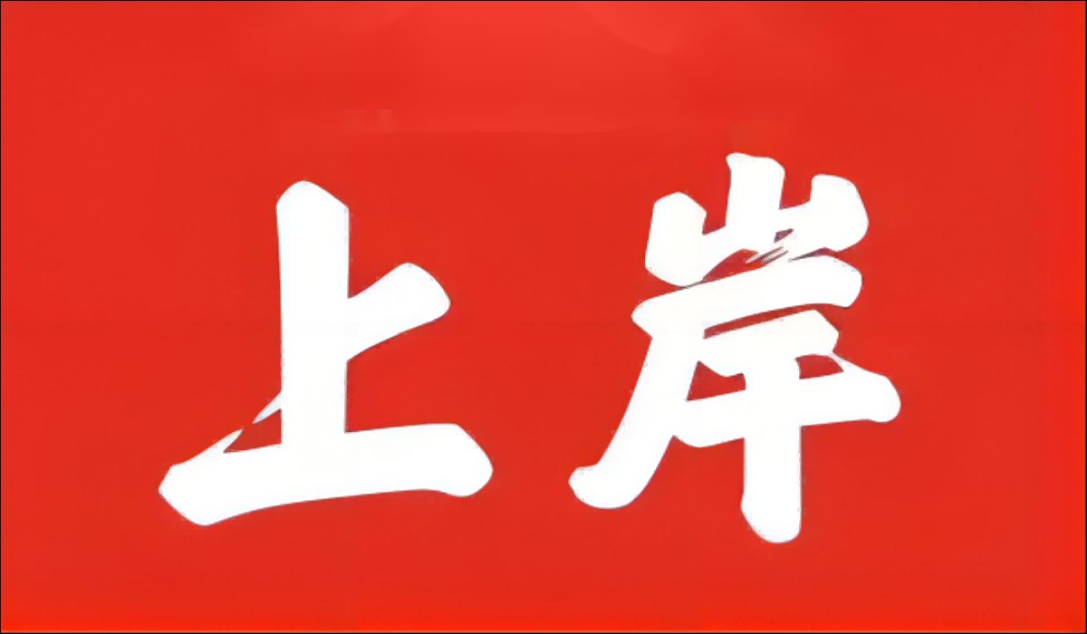 年輕人都想上岸，“岸”的盡頭是什么