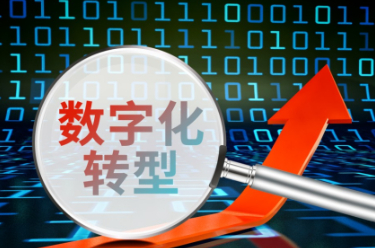 2024年中小企業(yè)數(shù)字化轉(zhuǎn)型城市試點(diǎn)工作啟動(dòng)
