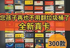 月薪動輒上萬元的陪伴師能緩解育兒焦慮嗎