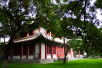 游客打開“大學(xué)”的正確方式是什么？