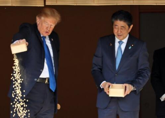 特朗普受邀和安倍一起喂魚 一出手驚呆所有人