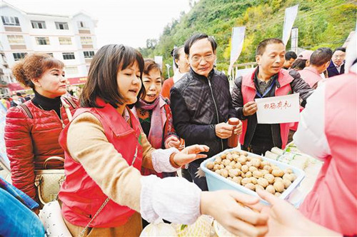 【領(lǐng)航新征程】農(nóng)民帶著“掃一掃”來(lái)賣山貨