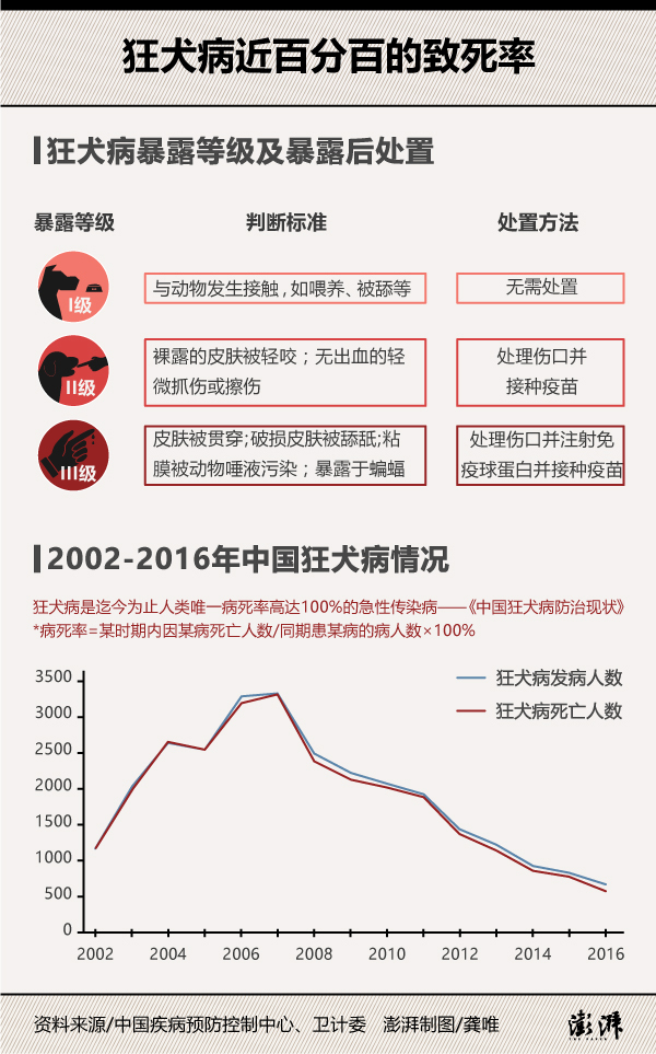 世界狂犬病日｜狂犬疫苗失敗率不到千分之一，切斷源頭最關鍵