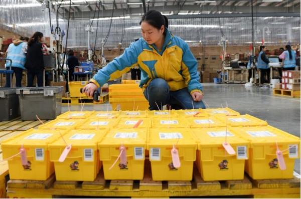 5000萬噸電商垃圾誰處理？目前只由企業(yè)或消費者自行處理