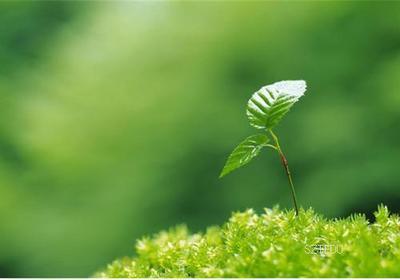 生命密碼，想懂你多一點(diǎn)