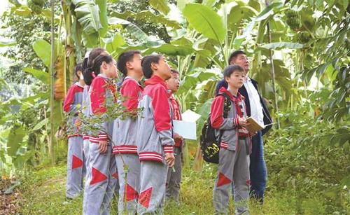 新時代勞動教育如何落地生根